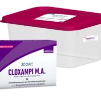 CLOXAMPI M.A. x 180 Jgas
