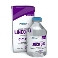 LINCO 300 X 100 CC