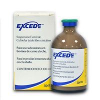 EXCEDE CATTLE x 100 cc
