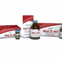 DEXA 21VET X 100 CC