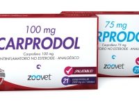 CARPRODOL 100 mg 7 blister x 3 comp