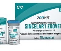SINCELAR I X 1,5 CC