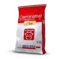 CARMINATIVO PREMIX x 20 kgs.
