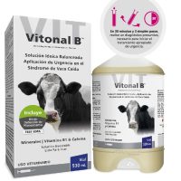 VITONAL B (V.CAIDA)  x 530 cc