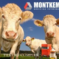 TILKEMT COMPLEX x 100 cc
