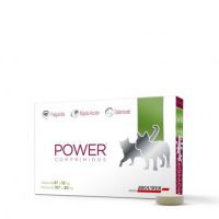 POWER COMPRIMIDOS   700 mg 5 a 10 kgs