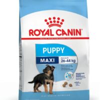 ROYAL - SIZE H.N MAXI PUPPY X 15 KG
