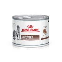 ROYAL - V-DIET RECOVERY CAT/DOG 195grs.