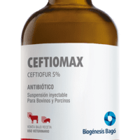 CEFTIOMAX X 100 CC