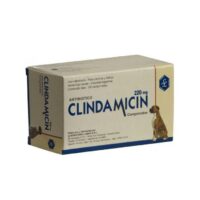 CLINDAMICIN  220 MG X 10 COMP