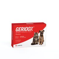 GERIOOX blister x 10 comprimidos