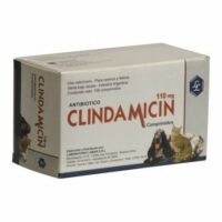 CLINDAMICIN 110 MG X 100 COMP