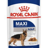 ROYAL - SIZE H.N MAXI ADULTOS x 15 kgs