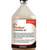 CLOSTRIDIAL 10 P X 60 DS
