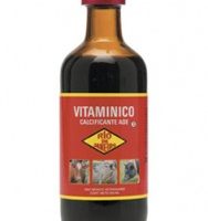 VITAMINICO'ADE R.J.'  x 250 cc